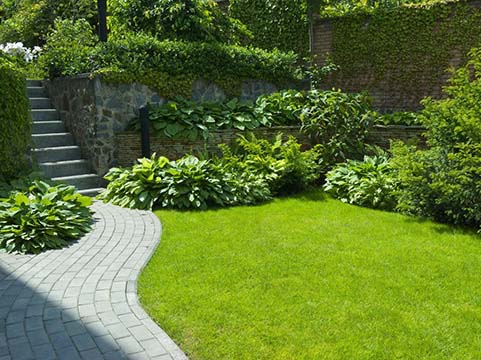 Formal garden with curved stone path through lush greenery